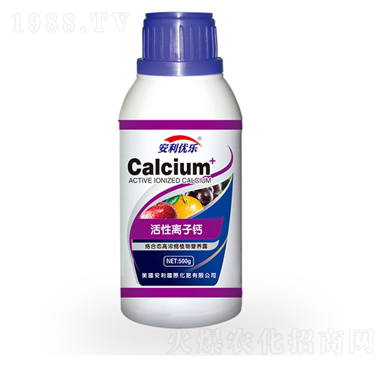 �����x���}-������(y��u)��-�֠�