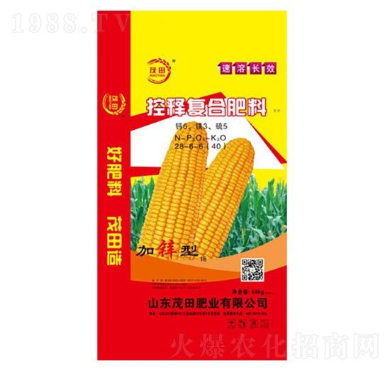 ��ጏͺϷ���28-6-6-ï��