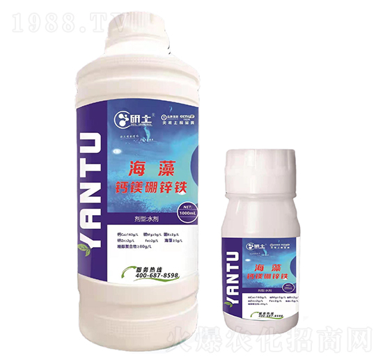 �����}�V���F�\-��������