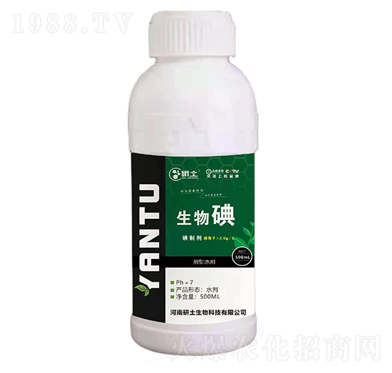 �����-��������