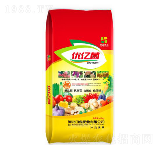 40%��(y��u)�|��-���ηʘI(y��)