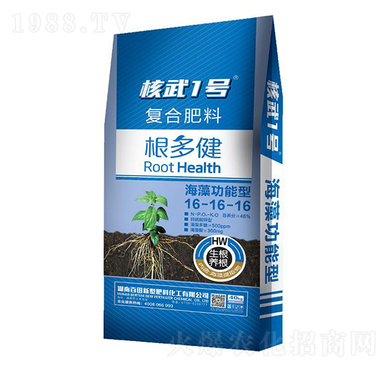 �ͺϷ���16-16-16-����1̖-����