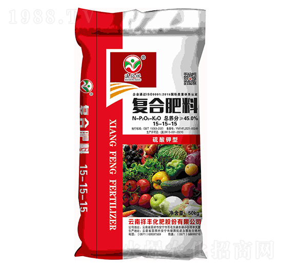 ������͏ͺϷ���15-15-15-�����-���S���F