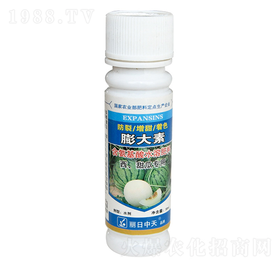 ��������ό���-���������-����ʘI(y��)