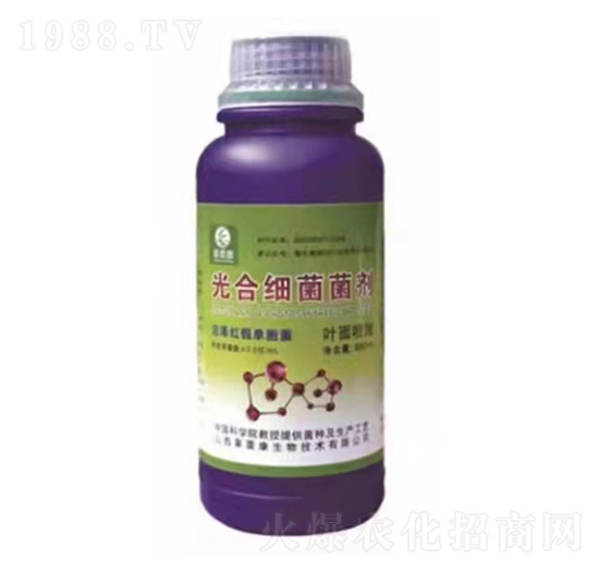 �~�懊ʩ��ϼ�������-���ڿ�