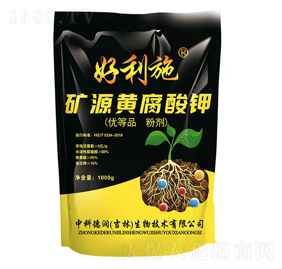 �VԴ�S�����-��(r��n)�ʘI(y��)