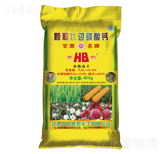 �w�����^�����}-���y����