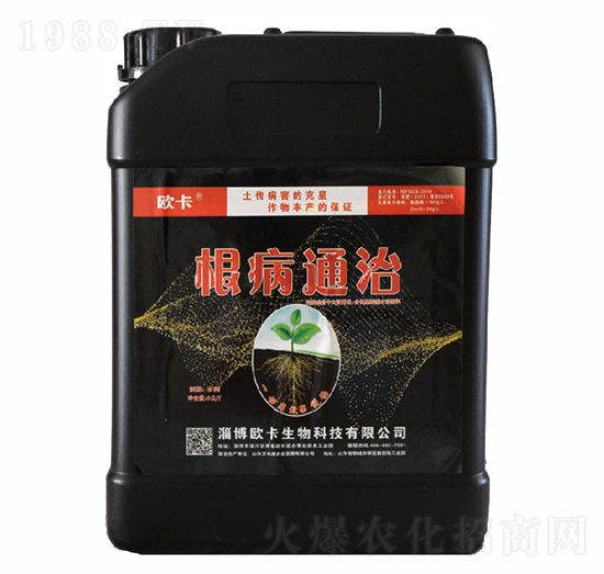 ����ͨ��-�W������