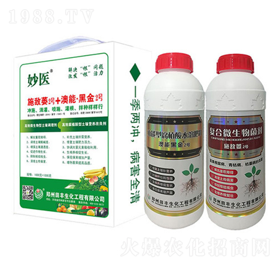 ʩ��ή2̖+���ܺڽ�2̖-�۟o��