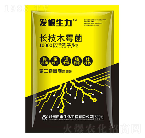 �L֦ľù��-�l(f��)������-�۟o��