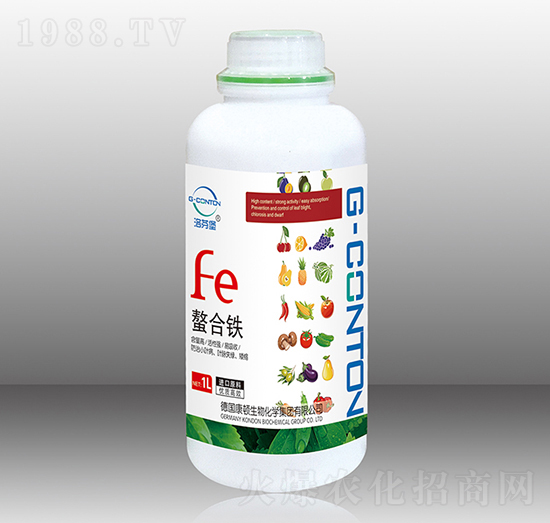 1000gG-CONTON�������F-��ұ�-�A����