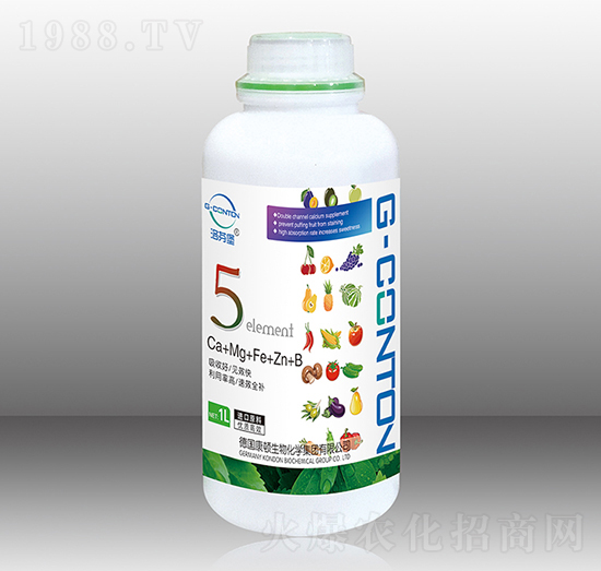 1000gG-CONTON��5Ԫ��-��ұ�-�A����