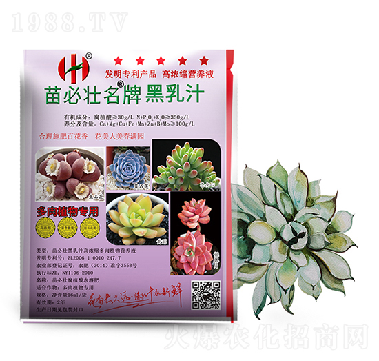 ����֭�ߝ�s����ֲ��I�B(y��ng)Һ-��؉�