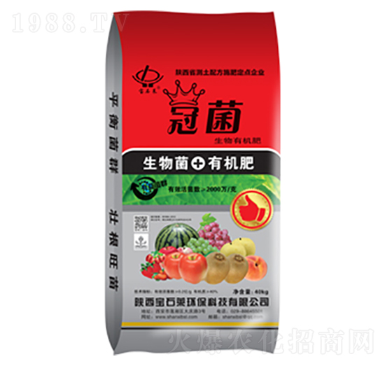 �ھ������ЙC(j��)��-��ʯ�R