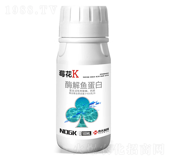 ø���~����-ݮ��K-������