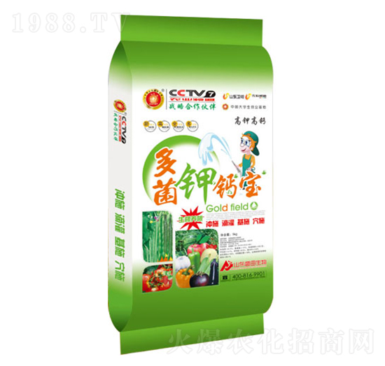 �����}��-ʢ������