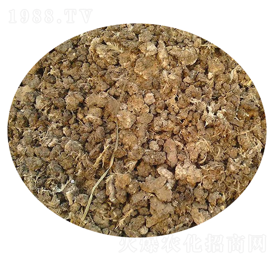 �l(f��)���u�S��-��������