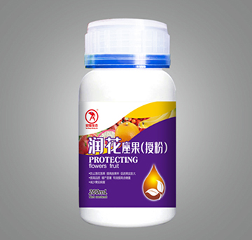 �����������ڷۣ�-��¡���B(t��i)