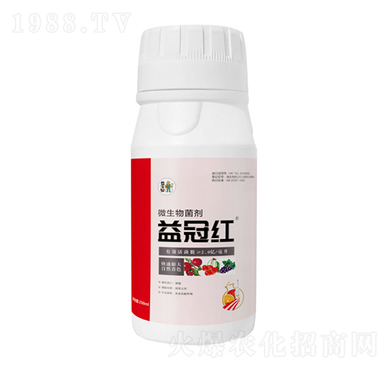 ��ڼt-�������A