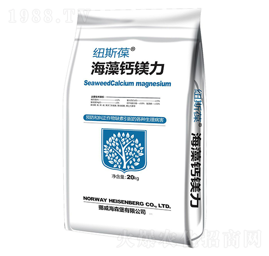 �����}�V��-�~˹��-���������