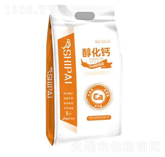 �����}-ʩ������