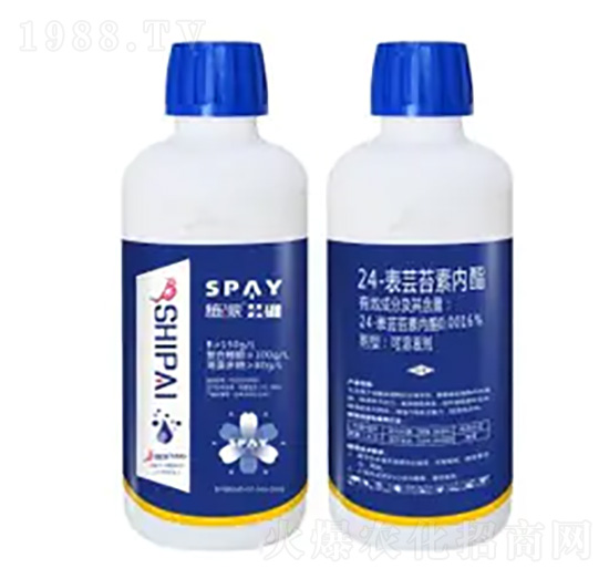 24-���|̦�؃�(n��i)֬-�|��-ʩ������