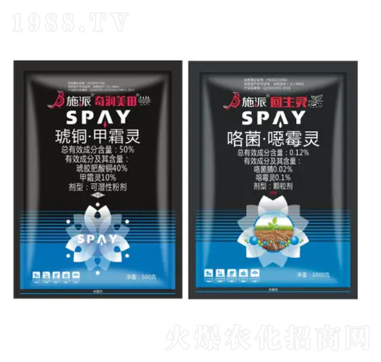 ���à������b-�杙(r��n)����-ʩ������