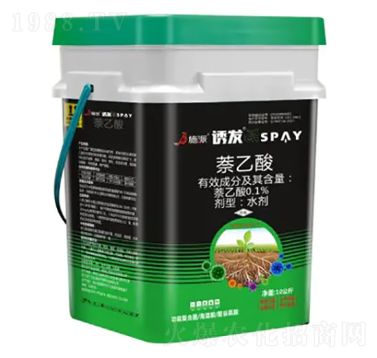 �T�l(f��)-ʩ������