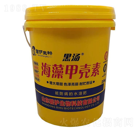 ����ך���-�ڜ�-���o����