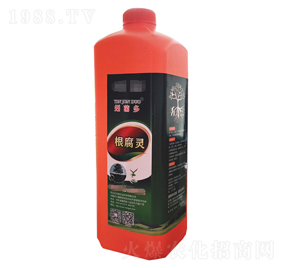 �����`-����-�r(n��ng)�־G�r(n��ng)�I(y��)