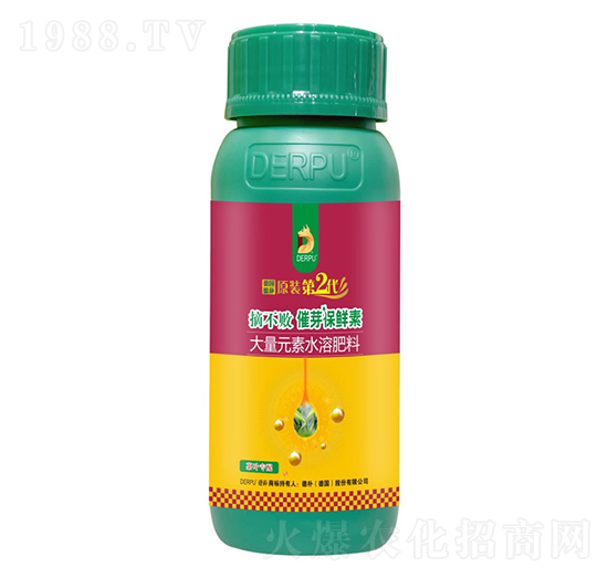 ��ѿ���r��-ժ����-��