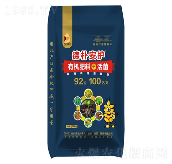 �㰲�o�ЙC����+���-��