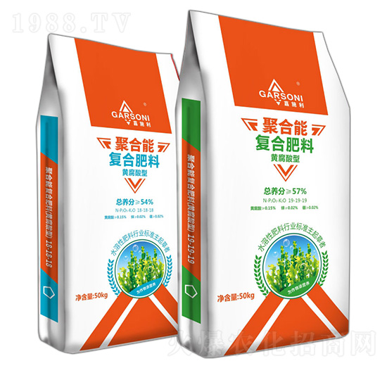 �S�����͏�(f��)�Ϸ���-��ʩ�����ۺ���-�¶�����