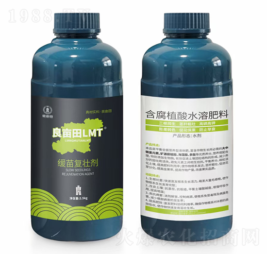 �����(f��)�ф�-������L(f��ng)MT-������