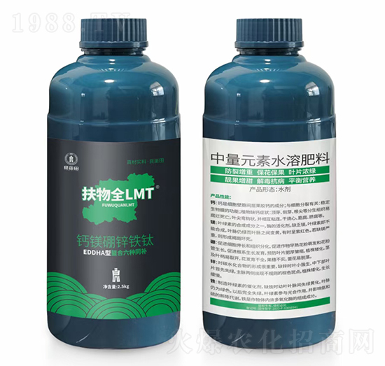 �}�V���\�F�-����ȫLMT-������