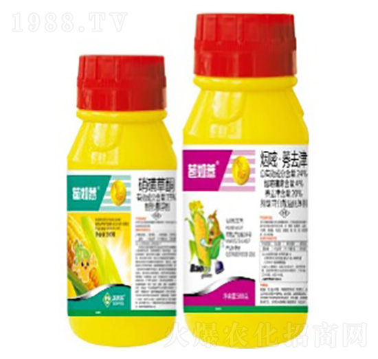 ����޲-���՘�