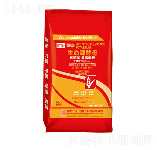 ����Դ��ĸ-���Z-�(y��ng)�⻯��