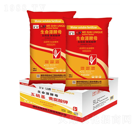 10kg����Դ��ĸ-���Z-ꖹ⻯��