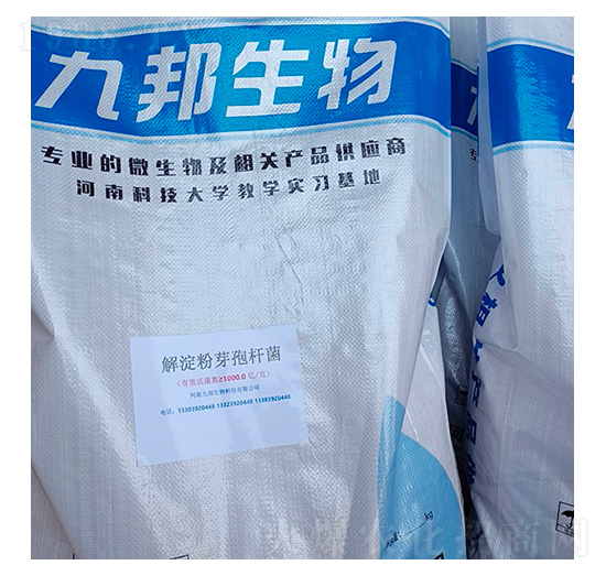 �����ѿ�ߗU��-�Ű�����