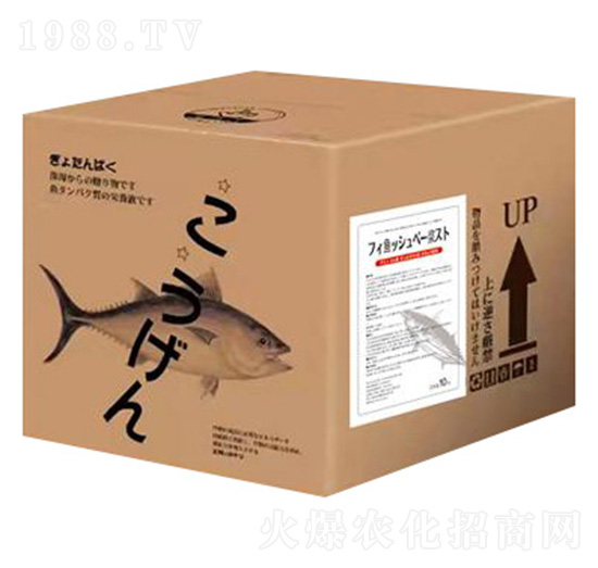 �~����-Ӣ��