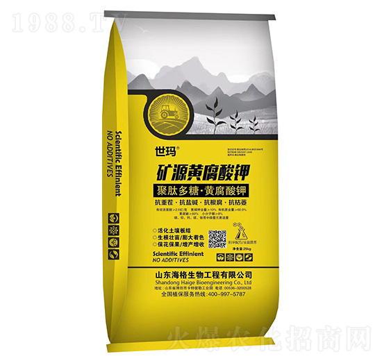 �VԴ�S�����-����-��������