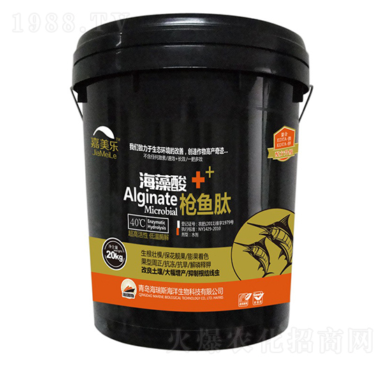 ������+���~(y��)��-������(l��)-����˹