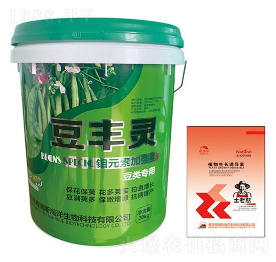 �fԪ�ؼӏ��Ͷ���Û_ʩ��-���S�`-����˹