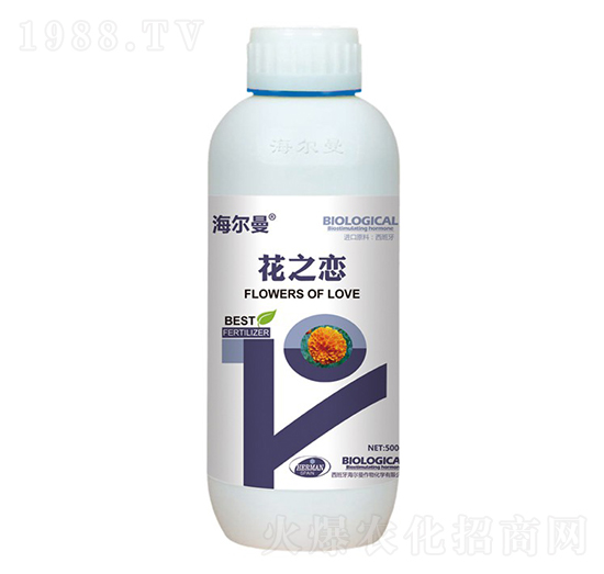 ����������֮��-����˹