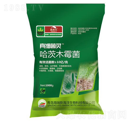 ����ľù��-�漚(x��)���`-������(l��)-����˹