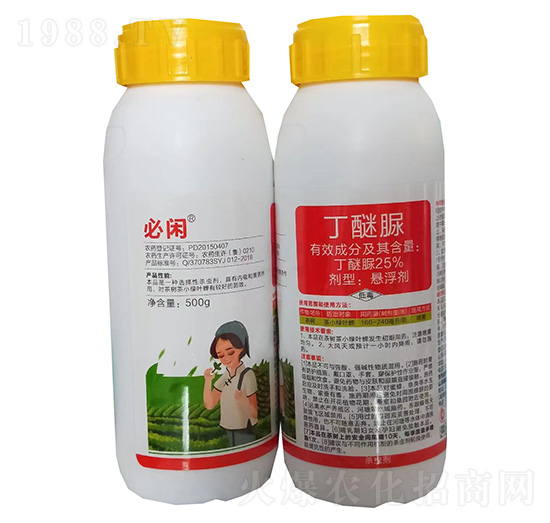 25%������Ҹ���-���e-�G������