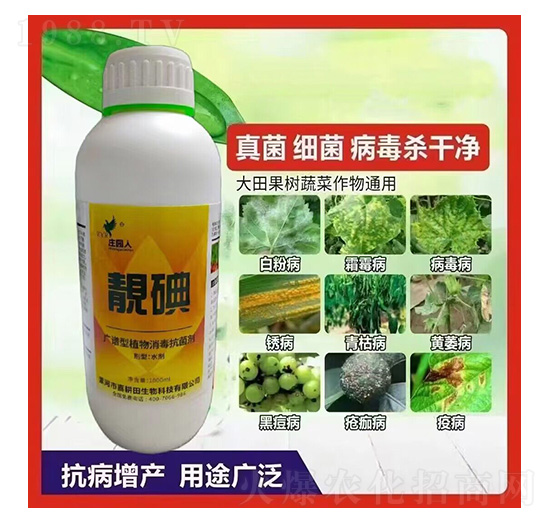 �n��-�f�@��-ϲ����