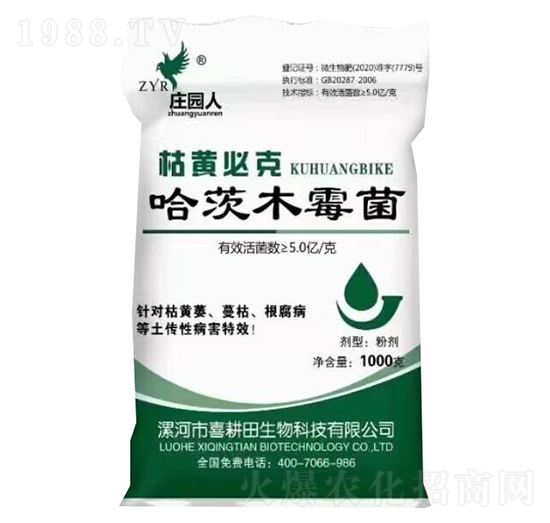 ����ľù��-���S�ؿ�-�f�@��-ϲ����