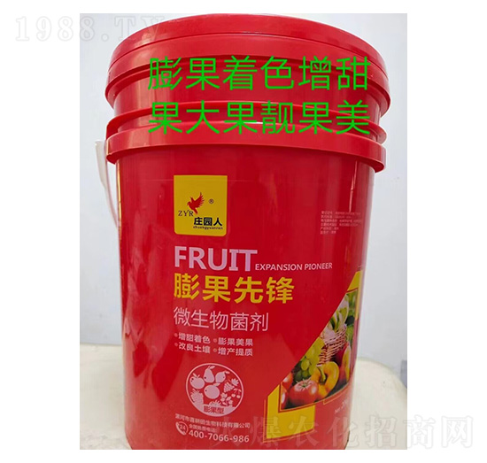 ������h΢�������-�f�@��-ϲ����