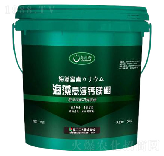 ����Ҹ��}�V��-������